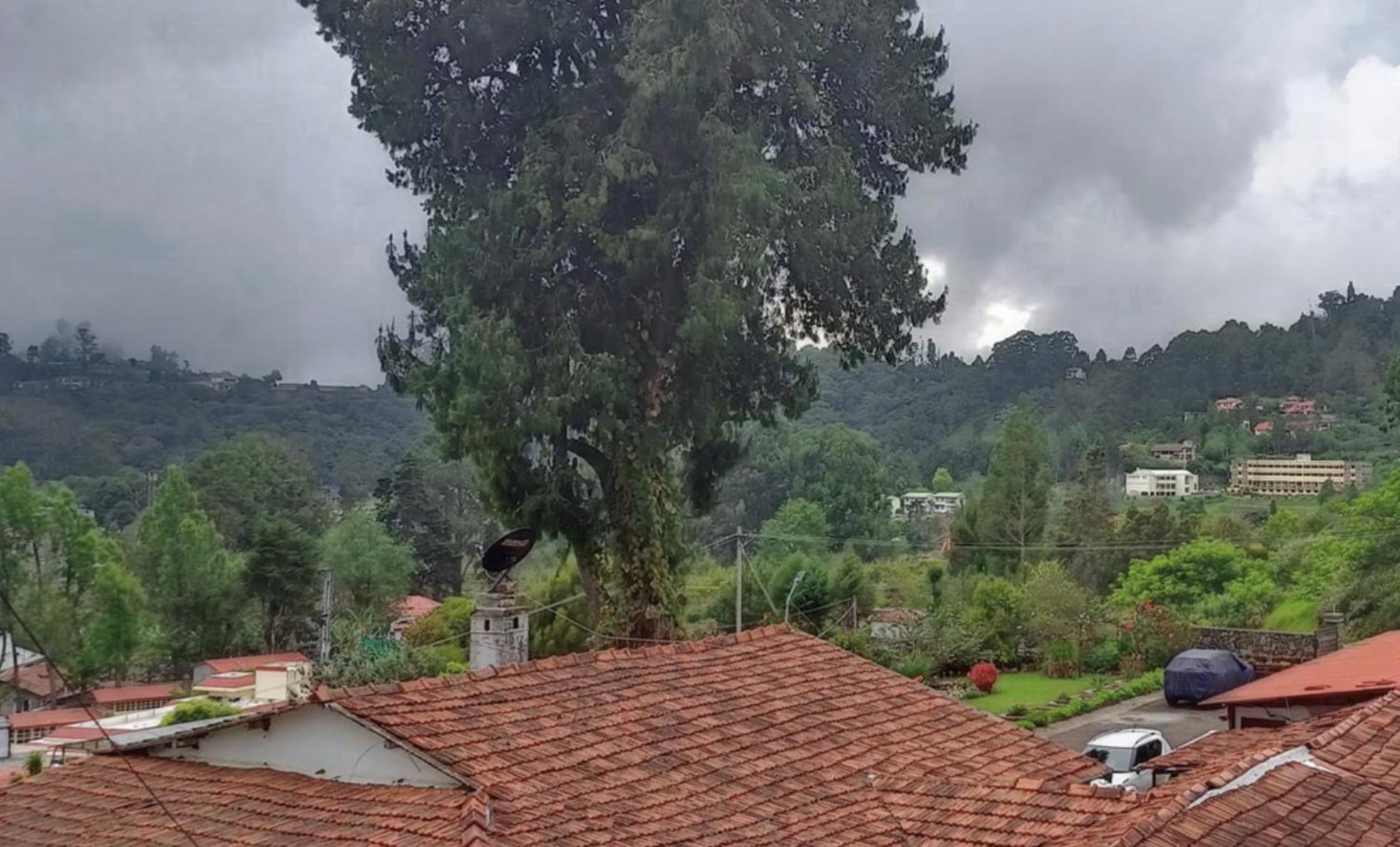 Mountain Retreat Kodai コダイカナル エクステリア 写真